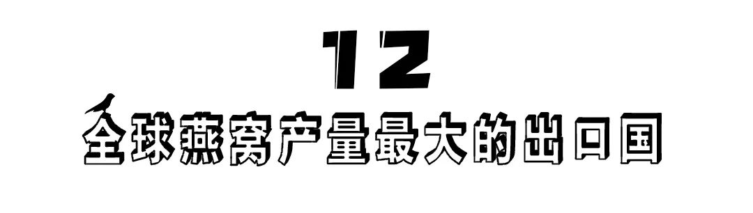 燕窝的故事大全视频,燕窝相关的故事