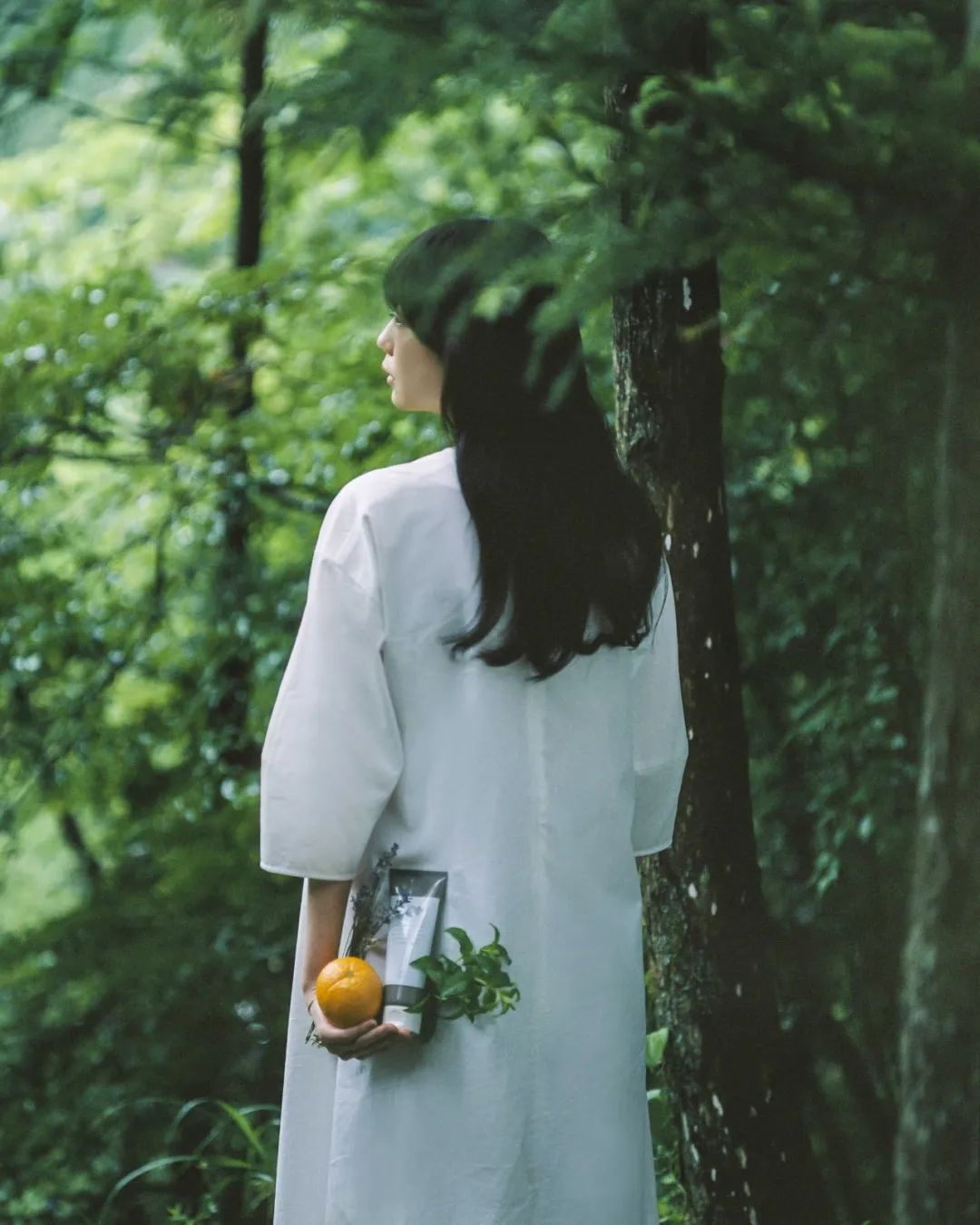 天然美容秘诀,天然美容抗衰老秘诀