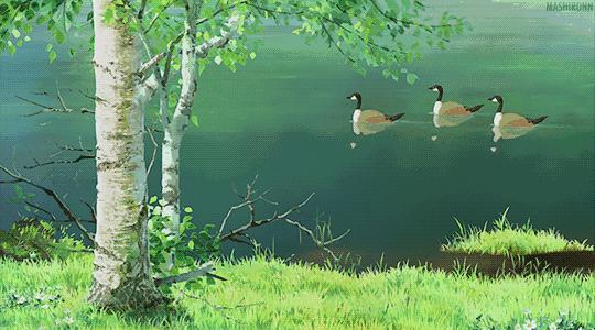 【晚安】万世师表，如果有，他是何等模样？