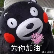 教师资格证报考怎样才算成功了,35岁才考到教师资格证有用吗