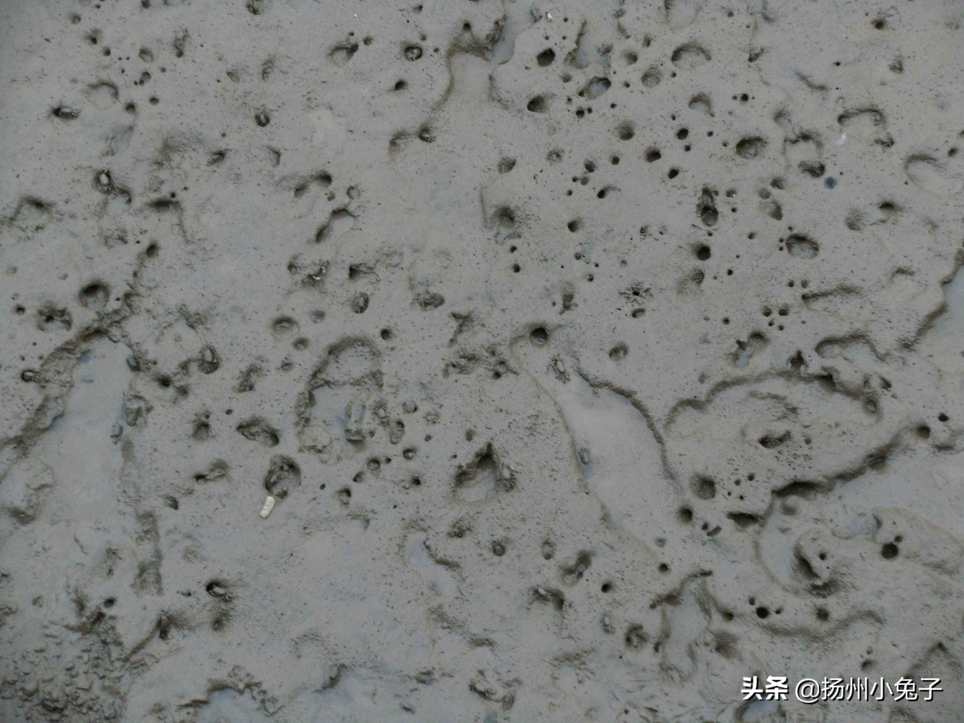 海鲜是鲜，神仙是仙，去吕泗寻鲜还是寻仙？