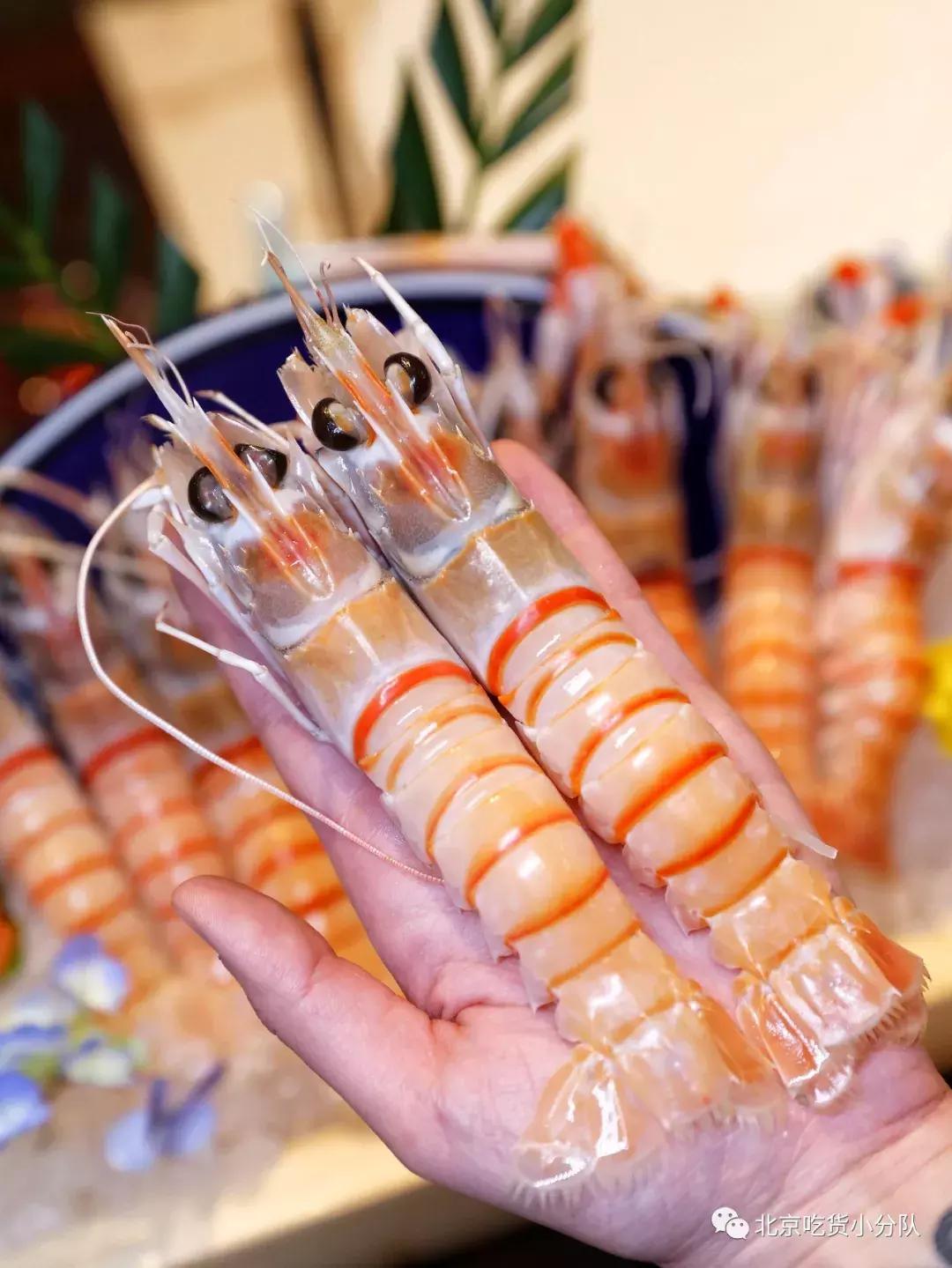 2020年第一网红,2019年抖音第一批网红