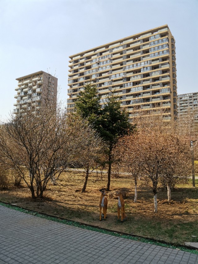 浑南长青板块楼盘推荐,浑南长青板块还是奥体板块