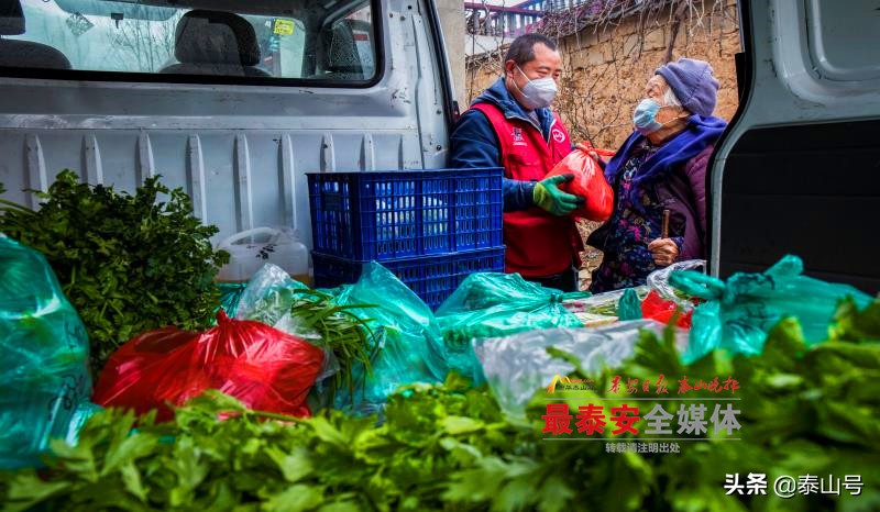 泰安市岱岳区下港镇杨家庄村,泰安市下港镇杨家庄村