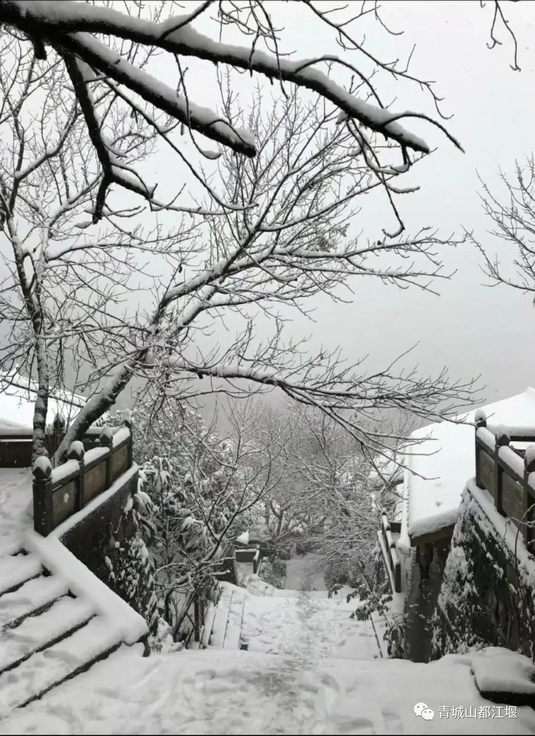 无雪不成冬,都江堰玩雪一日游