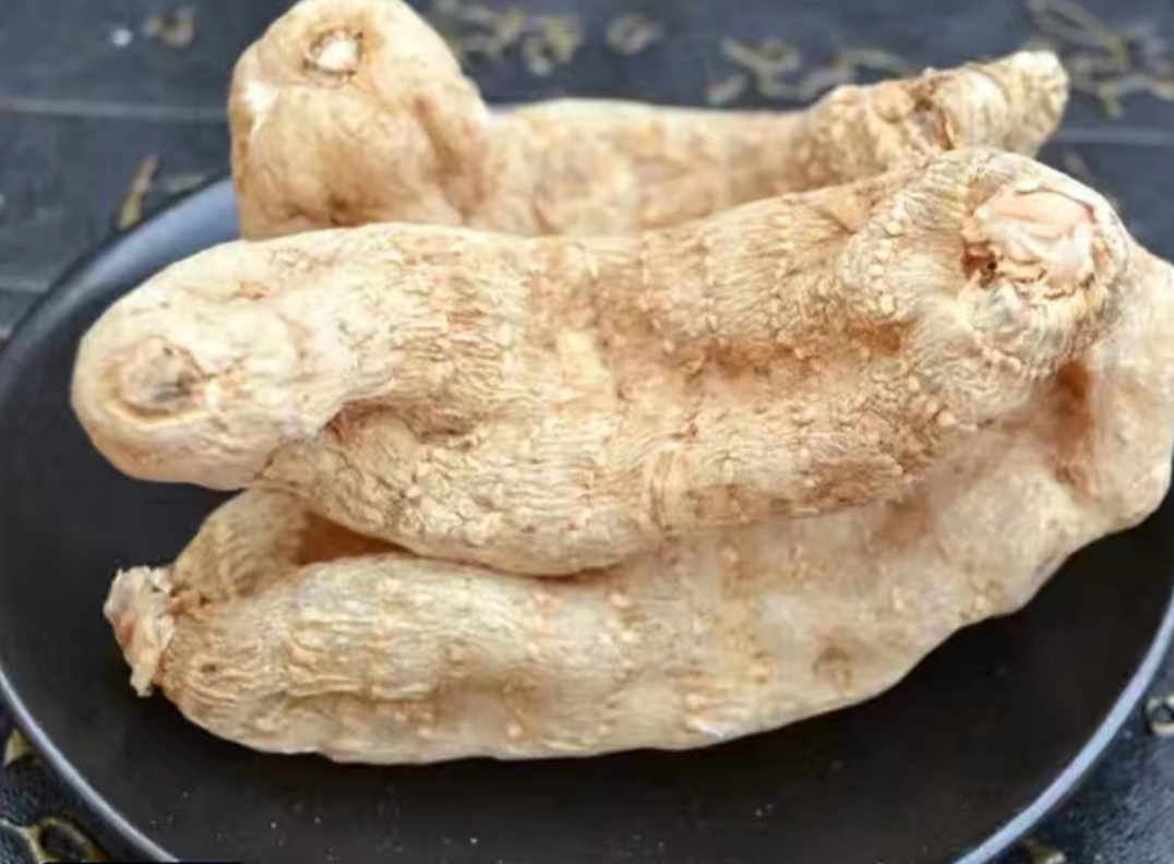 中国最好的野生天麻产地,西藏波密县哪家天麻基地最大