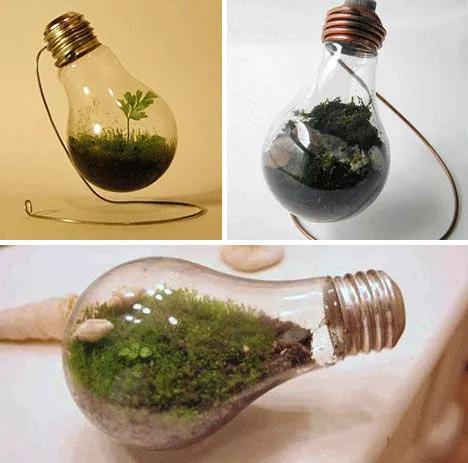 这些废品不要扔都是养花的宝贝,不要的洞洞鞋