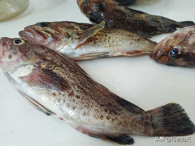 如何炖出的鱼酥软入味,怎么炖鱼不腥又好吃窍门