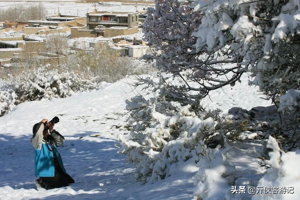 我竟然在*藏西**的冬天，竞遇到了如此多的仙境