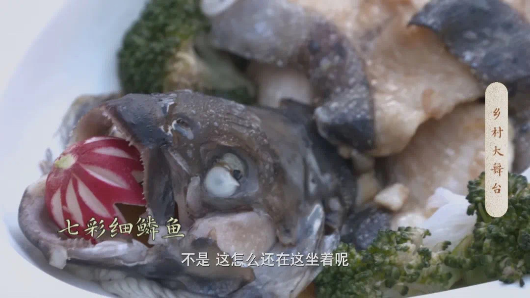 约吗？本周走进白山市临江市，这个安排很Nice