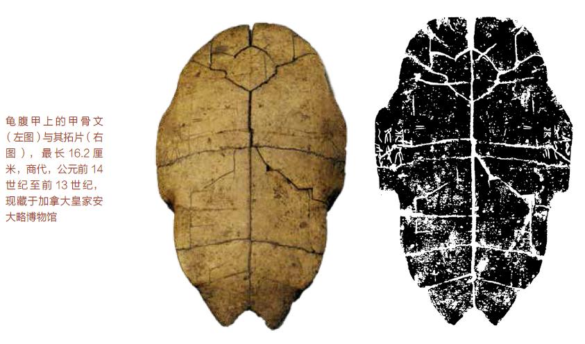 甲骨文趣味涂鸦识字,甲骨文趣味研究