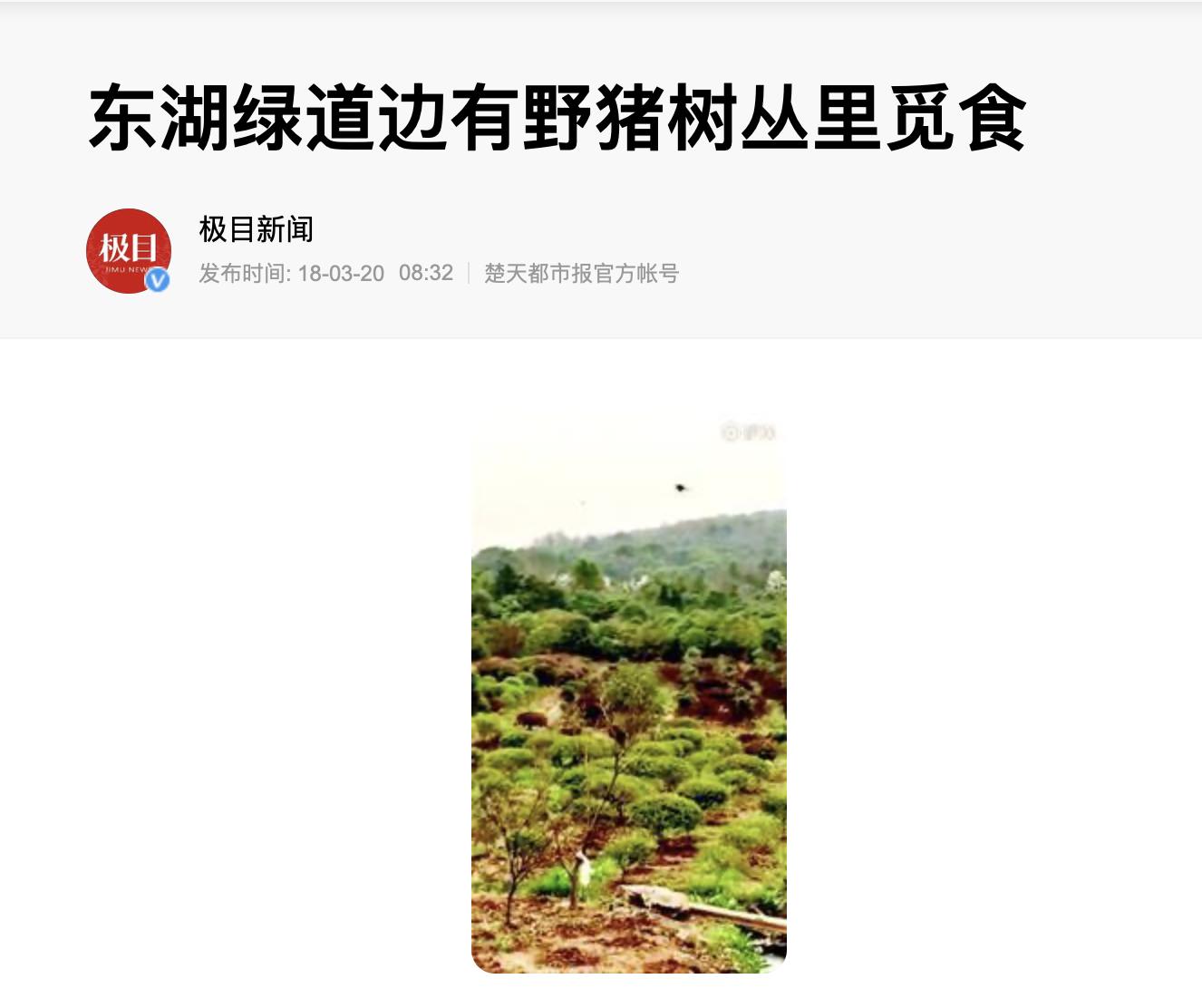 武汉，堪称“世界上最不缺水的城市”，东湖之美更羡煞旁人