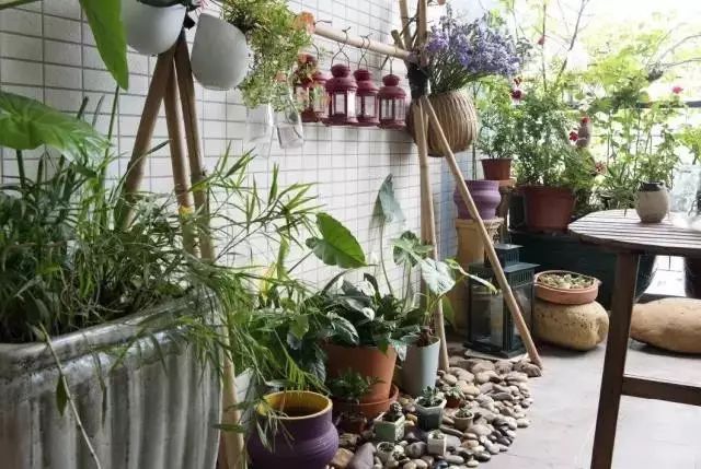 阳台花园适合种什么植物,50款阳台花园设计美得一塌糊涂