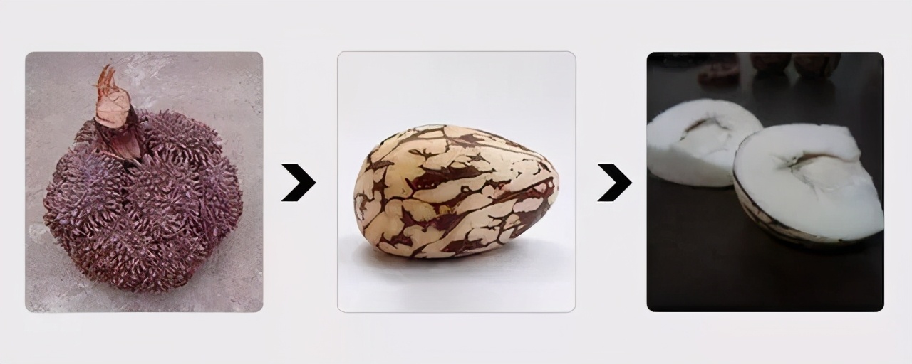 关于西装定制不可忽略的纽扣选择