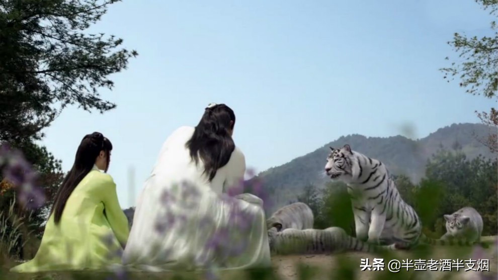 三国江湖术士,三国演义的三大术士