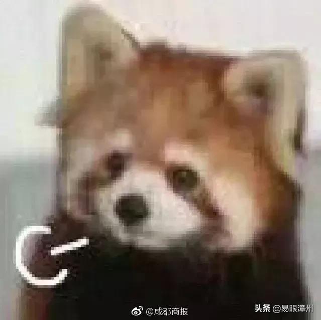 孩子起名用这些字要当心,今年给孩子起名不宜用哪些字起名