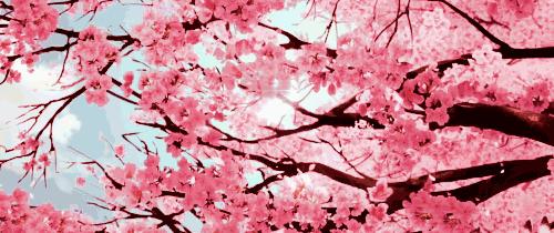 日照口腔医院种牙价目表,日照口腔医院种植牙价目表