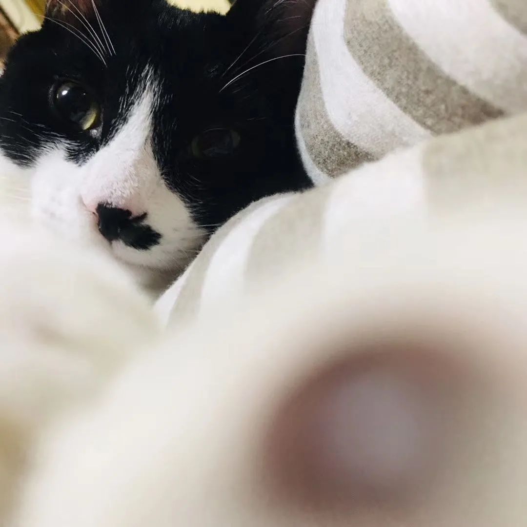 和卡卡的第一次合作,和卡卡相遇