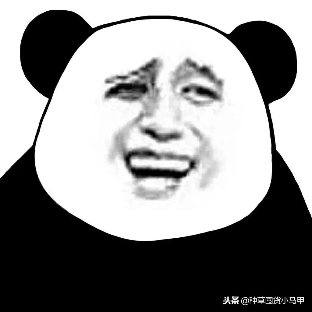 kiko限定值不值得买,kiko圣诞限定过期