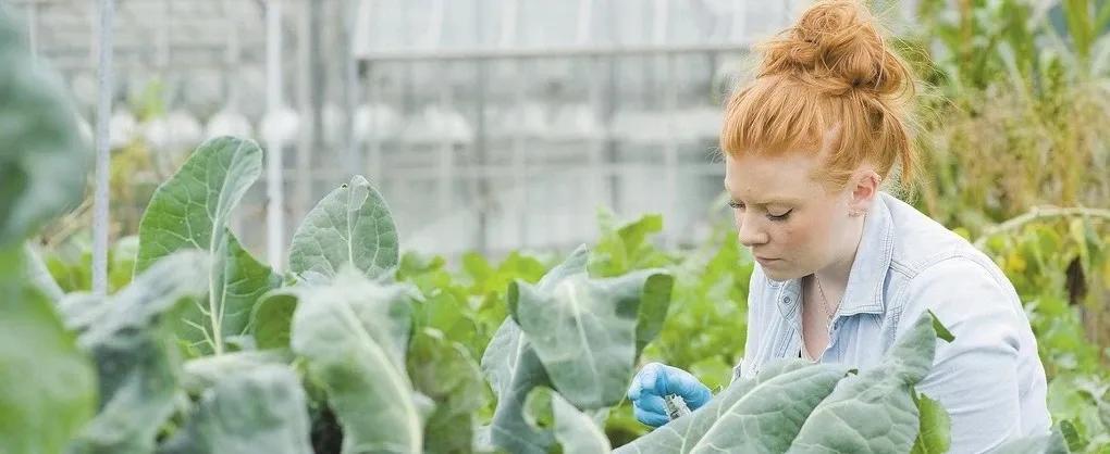 雷丁大学icma中心回国认可度,英国小硅谷