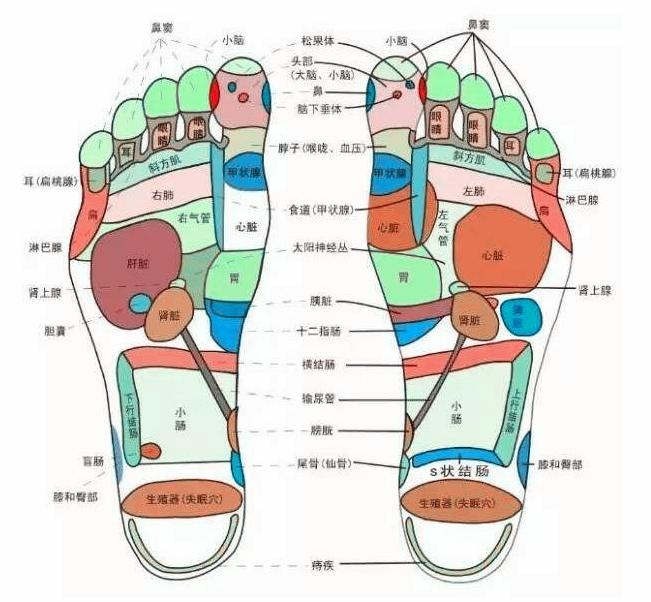 年年入冬脚就干裂有什么方法治好,想长寿养好背