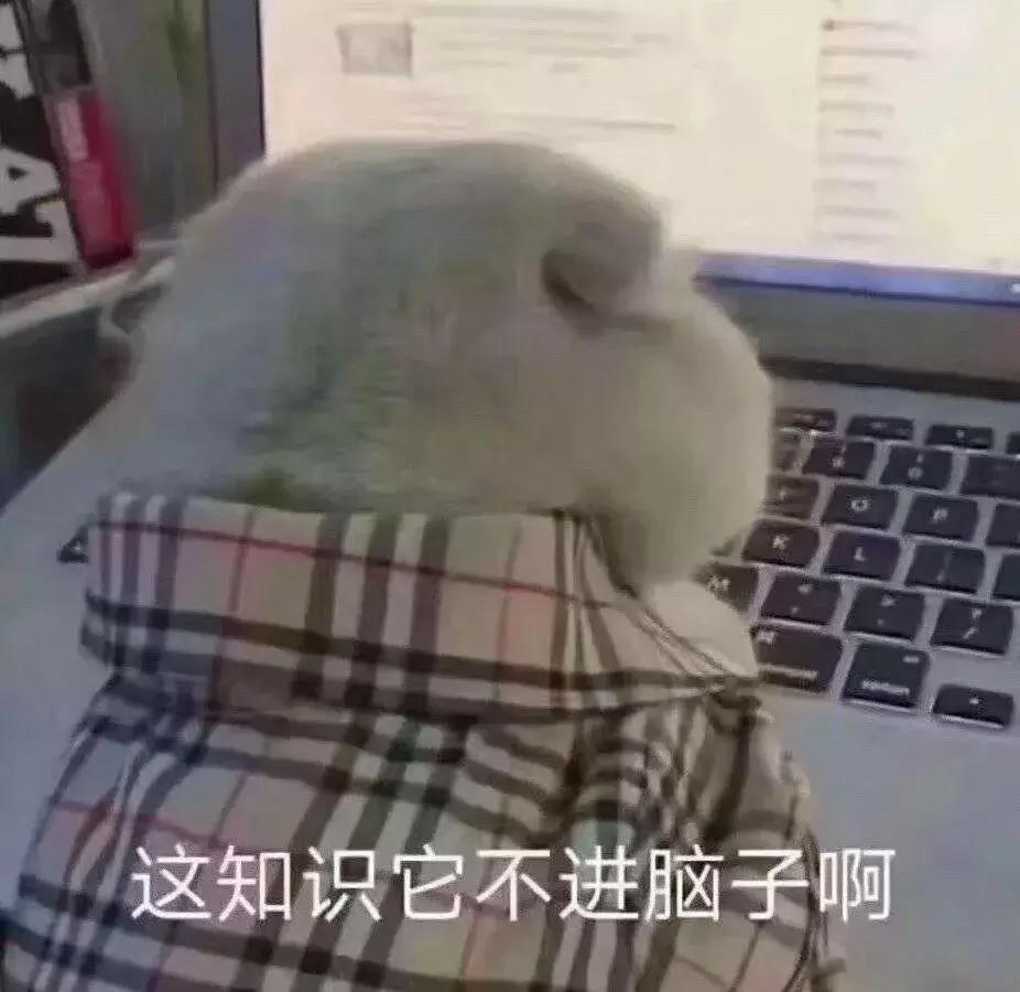 猫砂为啥裹不住猫屎,裹着猫砂的猫屎能上地吗