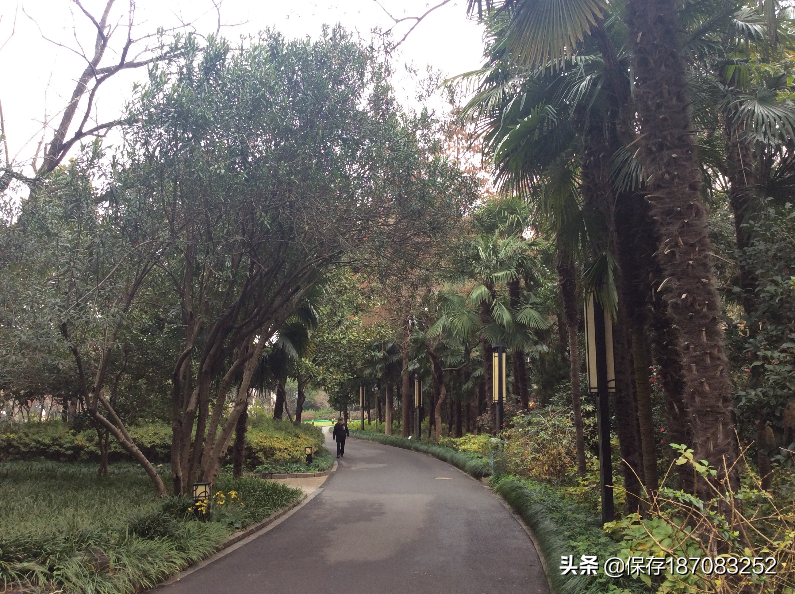 上海普陀山公园,普陀区长风公园在哪