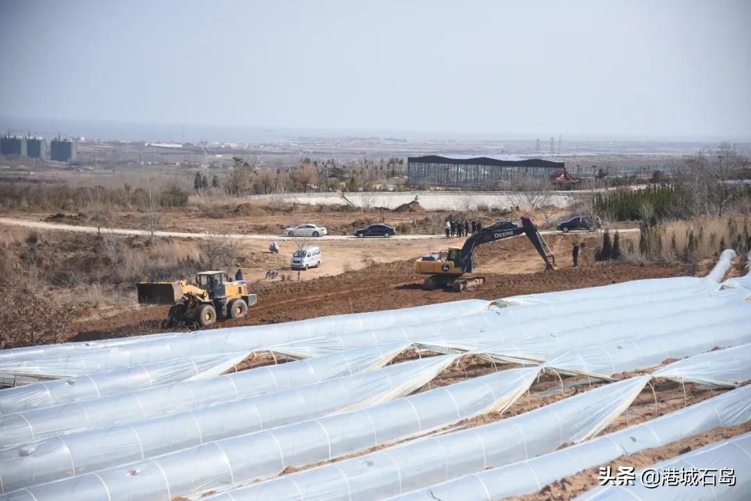 石岛即将开发的项目,石岛的项目