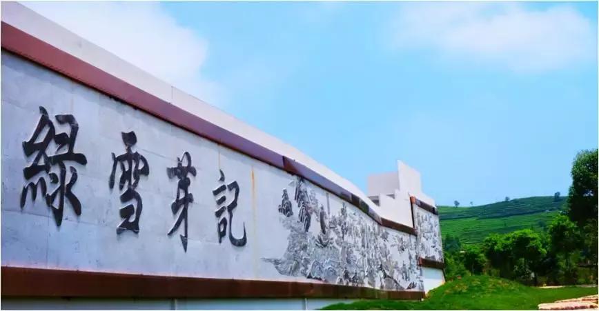 2017茶界大事,2019茶界十大事件