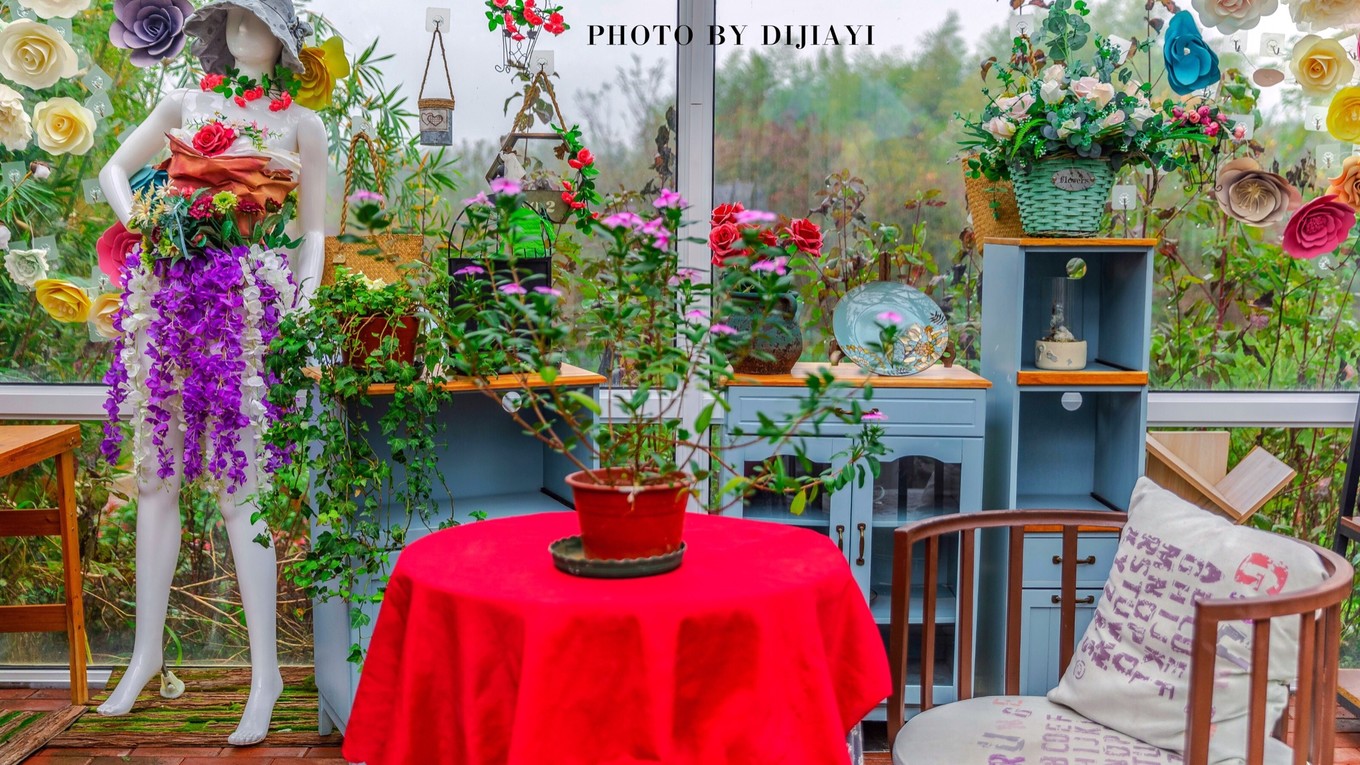 金坛花谷奇缘几月开花,金坛花谷奇缘地图