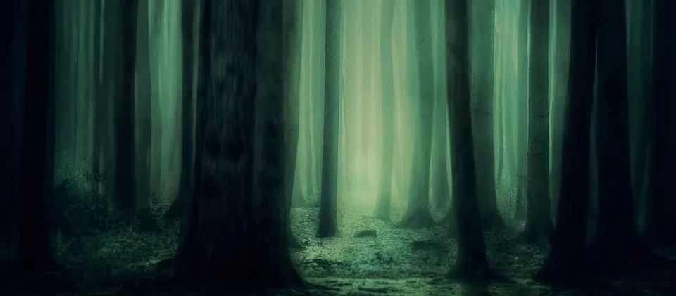 小偷偷盗遇到智能锁,小偷溜门