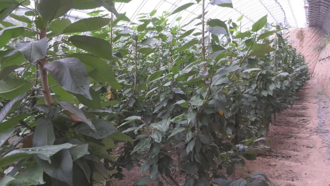 走基层看变化,走乡村看变化