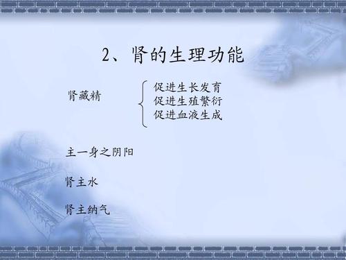 中医的肾和肾脏是一回事吗,中医说的肾和西医说的肾一样吗