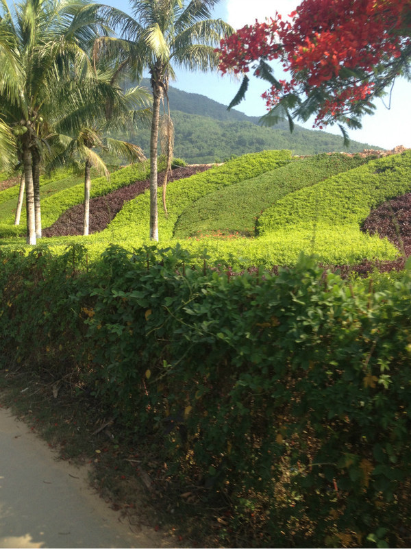 三亚自由行旅游攻略超详细哦,三亚旅游自由行全攻略