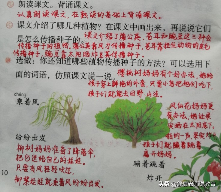 植物妈妈有办法二年级上册练习题,植物妈妈有办法二年级课文读后感
