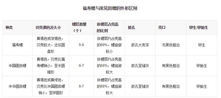 很多东西有寄生虫,这4种常见蔬果竟藏大量寄生虫