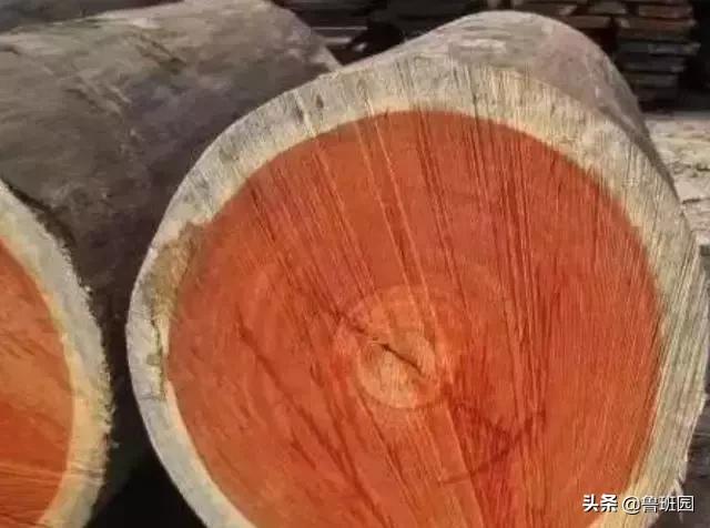 只有这七类木材才是真正的花梨木，教你火眼金睛“识花辨梨”！