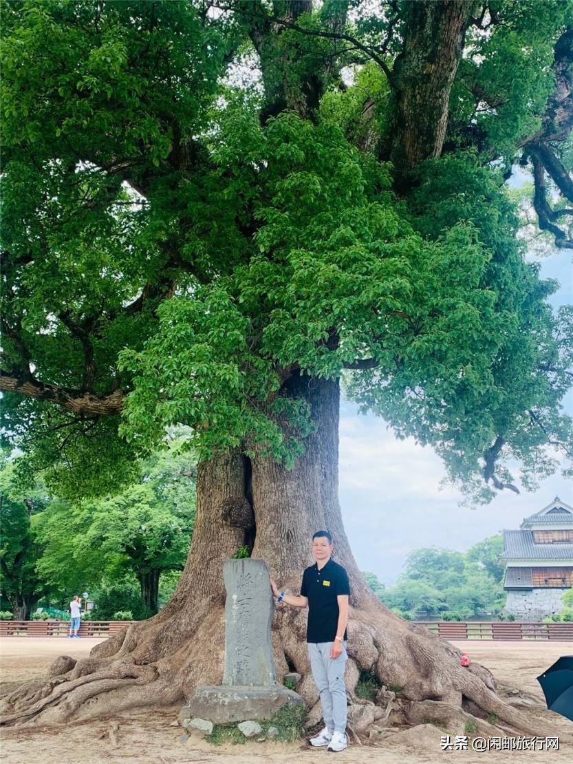 上海乘坐皇家加勒比海洋光谱号去往日本熊本及福冈6天5晚详细攻略