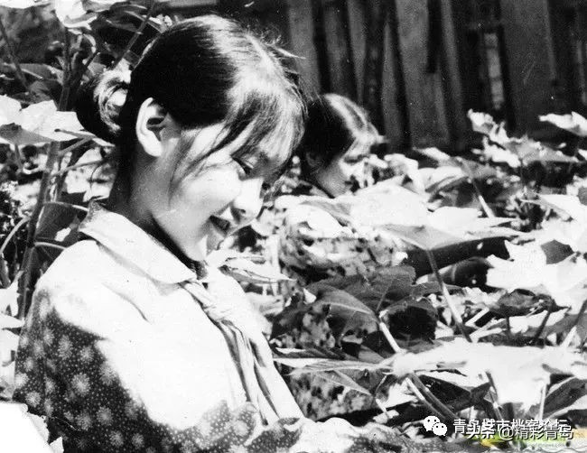 青岛四方区90年代老照片,青岛老四方区老照片