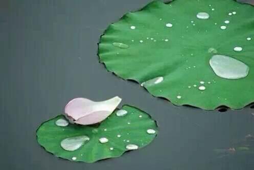 中医讲不寐,中医说不寐病是什么病