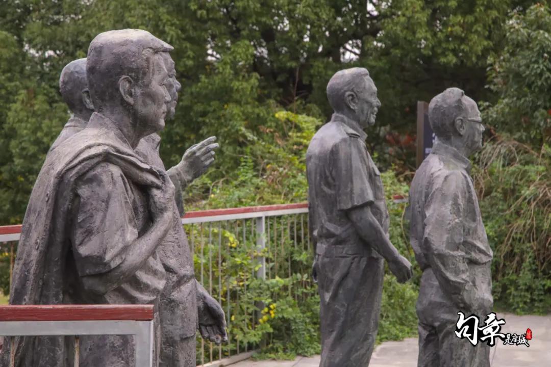 兴化千垛菊花海,广州海心沙菊花海