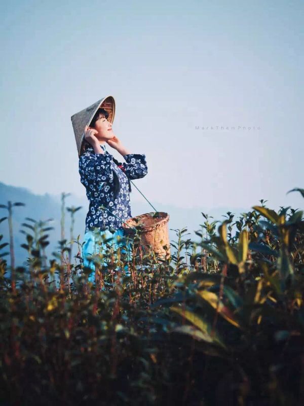 苏州太湖西山岛美食特产,苏州太湖西山岛美食攻略