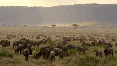 豆瓣2.5分神作,豆瓣9.5分的神作不该如此小众