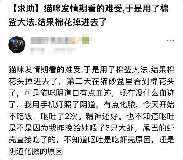 猫咪剃毛可以抑制发情的药,公猫咪剃毛后发情怎么缓解