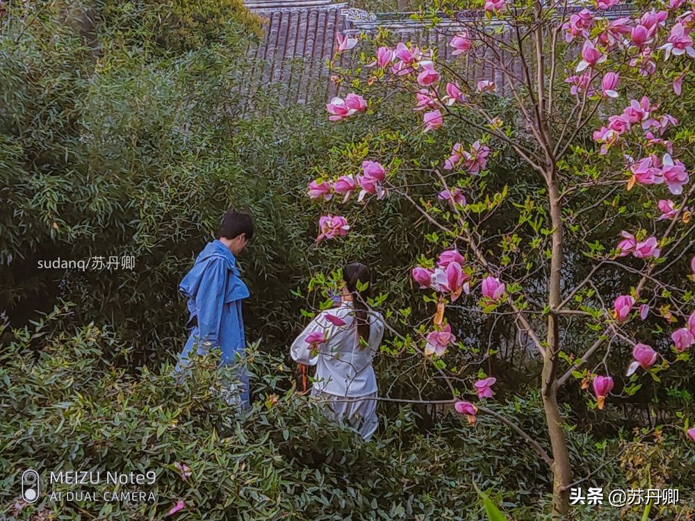 去苏州不能错过的地方,苏州最不能错过的古镇