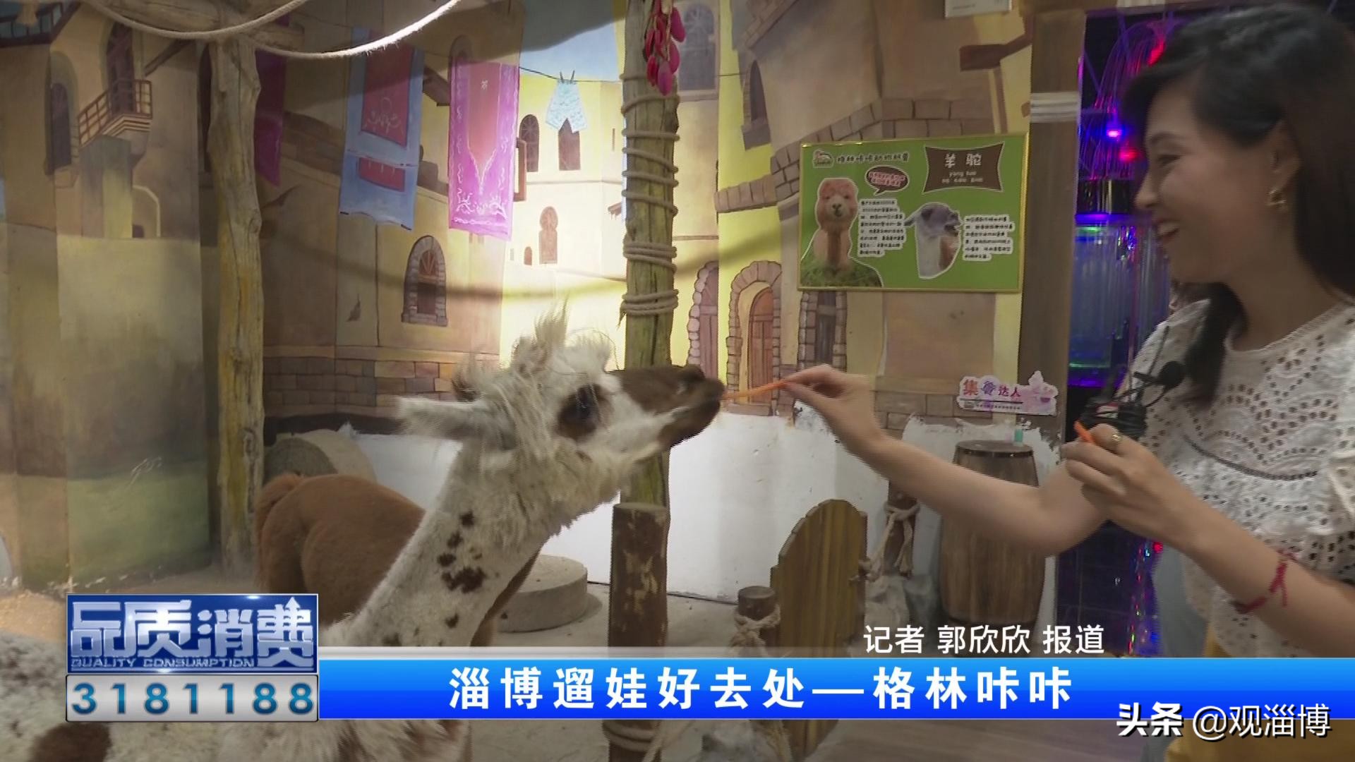 淄博动物乐园,淄博有动物的地方