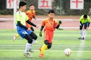 值得收藏的免费运动场地大全