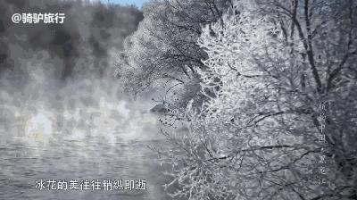 此生必去看一次雾凇太美了,此生必去看一次雾凇简直要美哭了