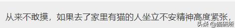 为什么猫咪那么傲娇还有人喜欢,猫咪这么可爱怎么有人舍得伤害