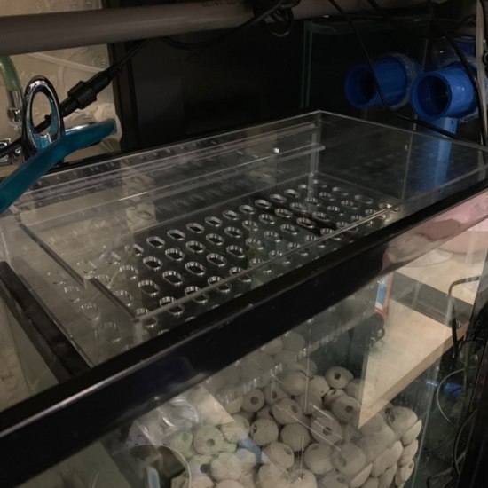 可丽爱鱼缸沉淀仓上放干湿分离盒,可丽爱沉淀仓可以拆吗